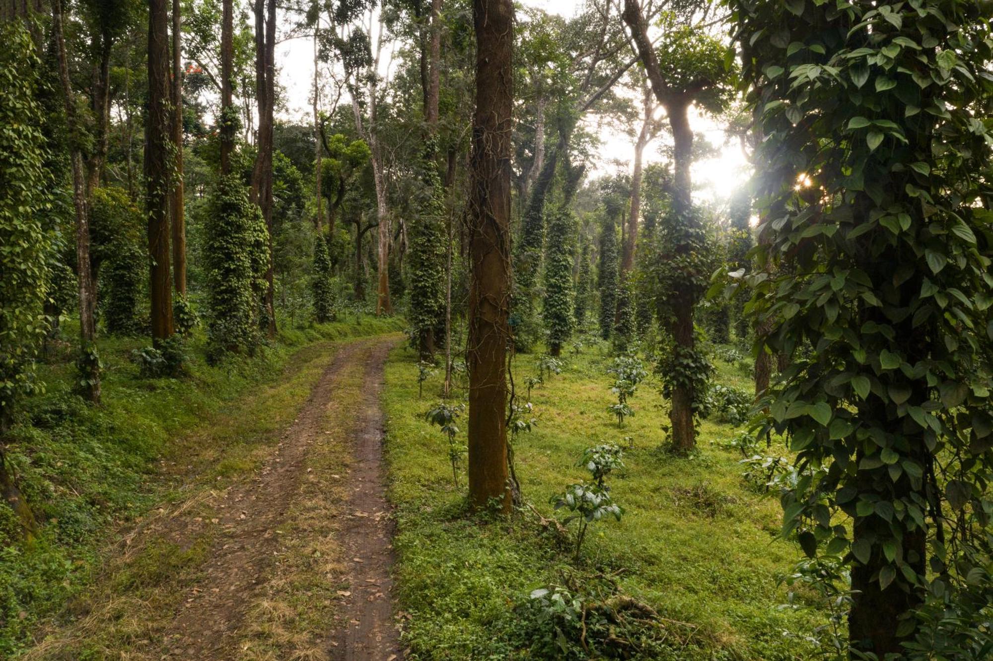 Tusker Trail By Luxunlock Hotel Suntikoppa Luaran gambar